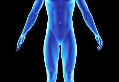 Human Body Facts: Discover the Wonders Within You